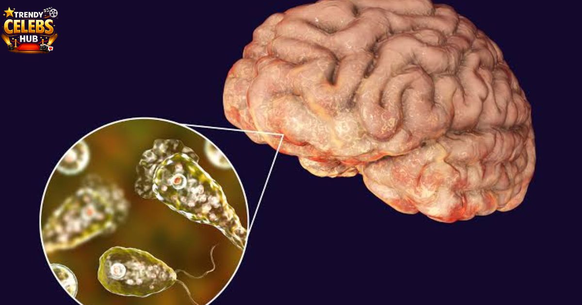 brain-eating-amoeba