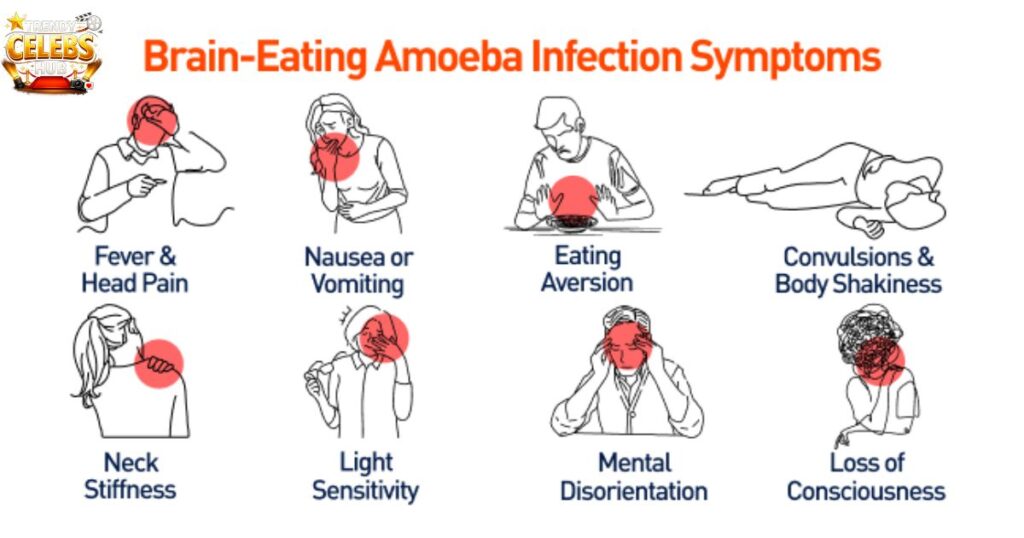 diagnosis-of-brain-eating-amoeba-infection